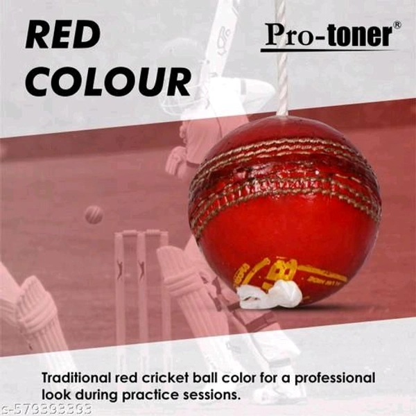 Cricket Hanging Ball (Leather)