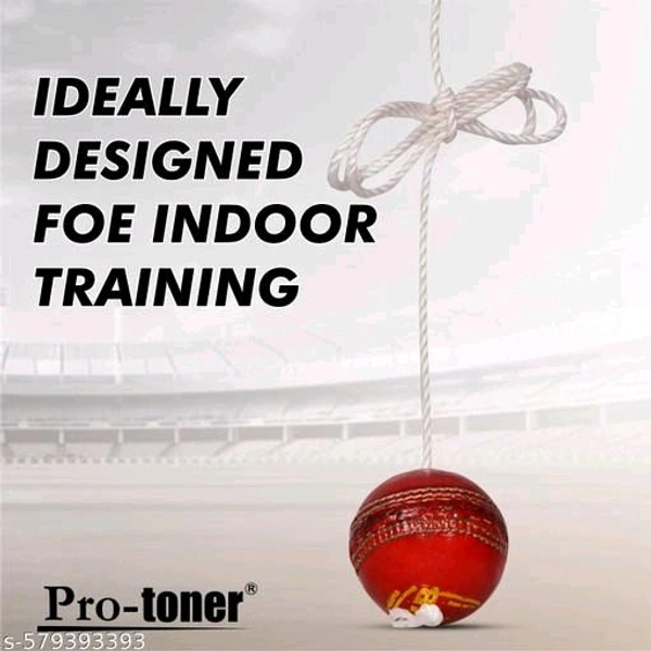 Cricket Hanging Ball (Leather)