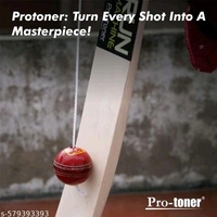 Cricket Hanging Ball (Leather)