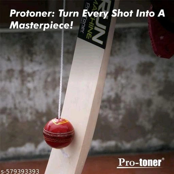 Cricket Hanging Ball (Leather)