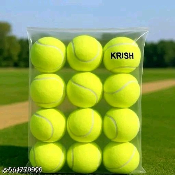 Cricket Balls Pack Of 13