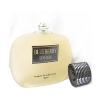 SAV BLUEBERRY London Apparel Perfume Spray-100ml - PJM068R13S2