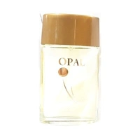 Ramco OPAL Apparel Perfume Spray 100 ml - PJM083R9S5