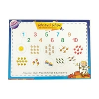 Aryans Write & Wipe Re-Useable White Board - A4 Size