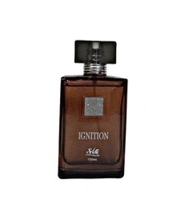 SAV IGNITION Apparel Perfume Spray 100 ml - PJM031R9S5