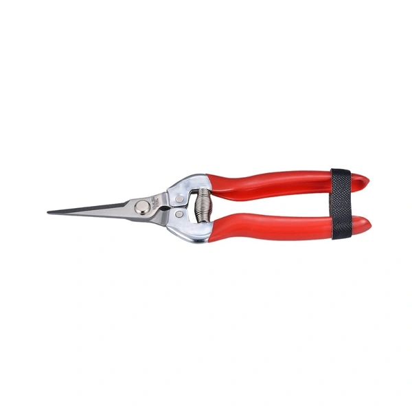 SUNYA 7 1/2" Stainless Fruit Snips-33003Z-1
