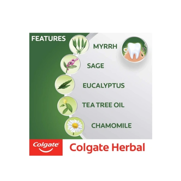 Hindustan Unilever Colgate Herbal Toothpaste 200gm  - 200gm, herbal