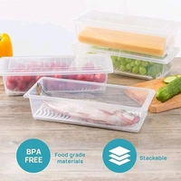 Plastic Fridge Storage Container