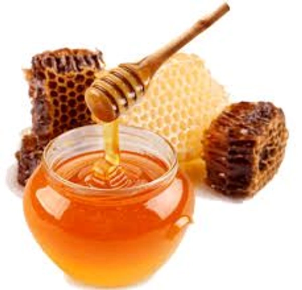 Forest Honey - காட்டுத் தேன் - காட்டு தேன் - FOREST HONEY - forest honey