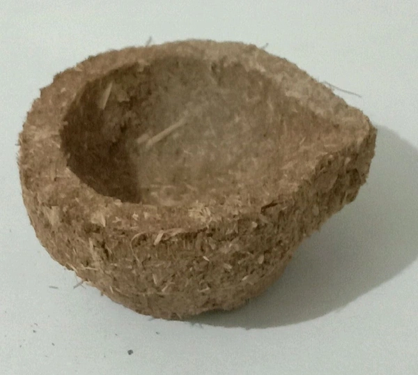 பஞ்சகவ்யா விளக்கு -panjakavya Light - Panchakavya Vilakku - PANCHAKAVYA LIGHT - 