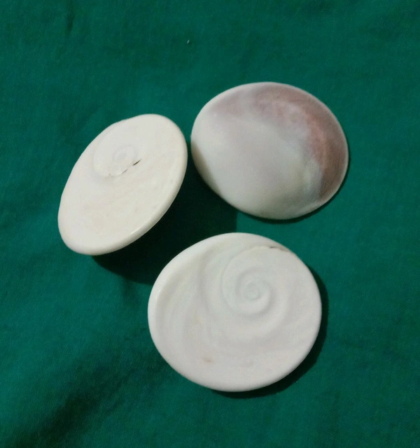 கோமதி சக்கரம் (4.5 Cm Dia) Big - Komathi Chakkaram Big - KOMATHI CHAKKARAM.