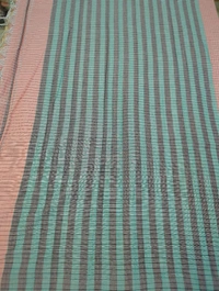 Pure Handloom Narayanapet Cotton - Sundown 8