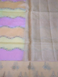 Georgette Organza  - Peach