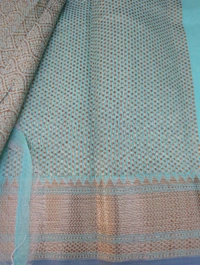 Pure Handloom Chanderi  - Pelorous
