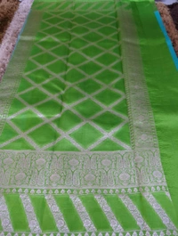 Pure Handloom Raw Mango  - sky blue