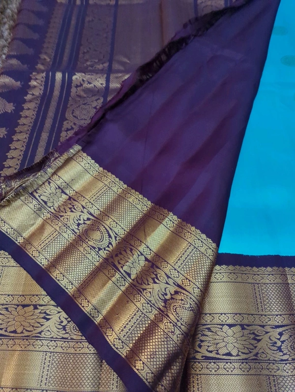 Pure Handloom Gadwal Pattu Border  - Morocco Brown