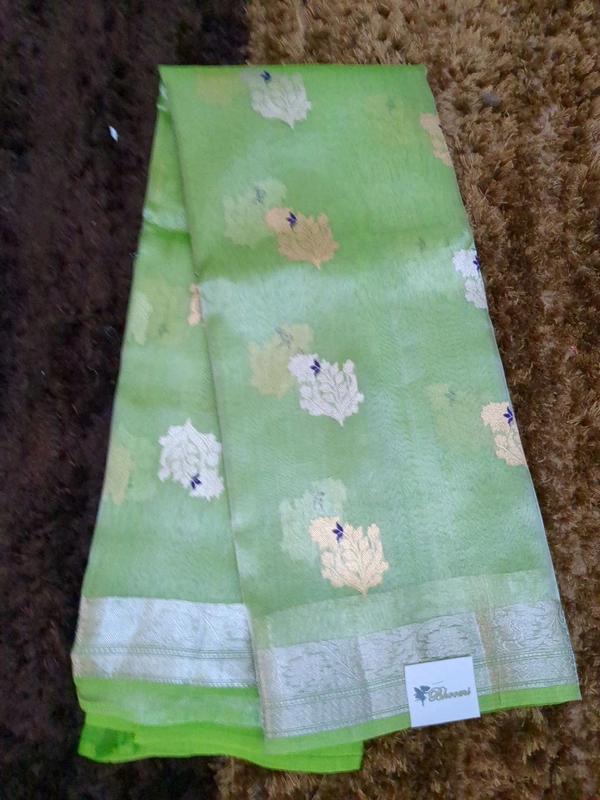 Pure Handloom Tissue Designer  - Mint Green
