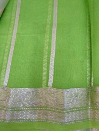 Pure Handloom Tissue Designer  - Mint Green