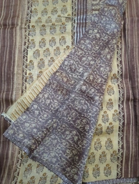 Pure Chanderi Block  - Brown 2