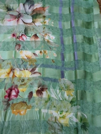 Pure Chiffon  - Snowy Mint