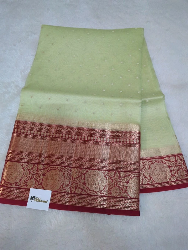 Pure Handloom Organza With Pure Raw Mango Blouse  - Snowy Mint