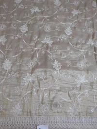 Soft Crush With Rich Embroidery  - Martini