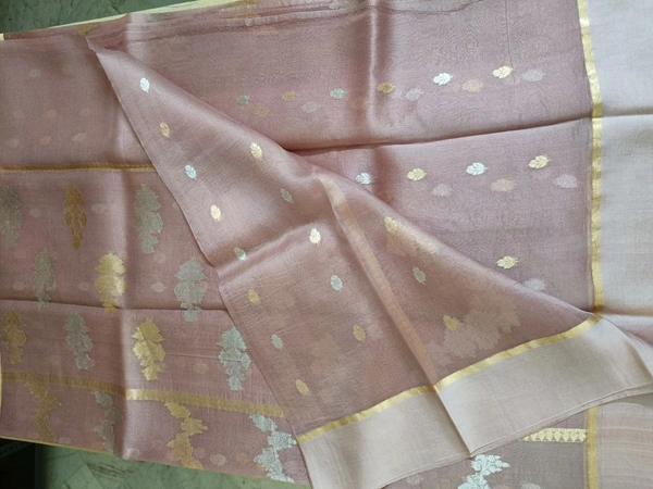 Pure Handloom Organza  - Tan