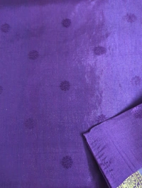 dola mushru kashmiri - Purple