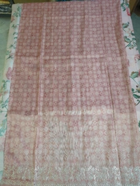 Tissue Georgette With Pita Work - peach