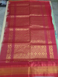 Pure Handloom Gadwal Cotton - humans on mint green