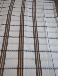 Pure Handloom Narayanapet  - White