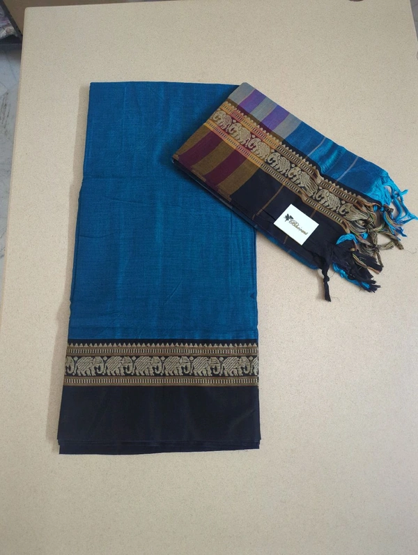 Pure Handloom Narayanapet - sky blue