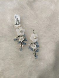Designer Earrings  - blue