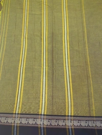 Pure Handloom Narayanapet - Hot Toddy 20