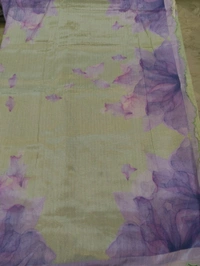 Pure Handloom Mangalagiri  - Baby Blue