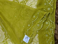 Pure Georgette Mirror Work  - green