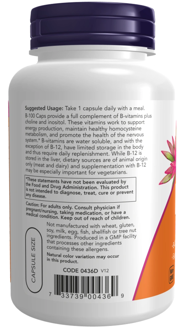 Now Vitamin B-100 - 100 Veg Capsules