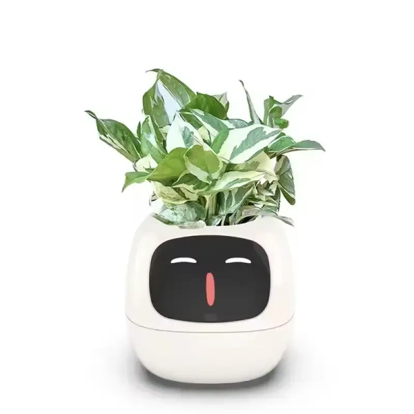 Buy It No MOQ Robot Guidance on Plant Care Adorable Plant Companion with Rich Gesture Interaction and Emojisb Smart Pet Planter - Japanese Laurel