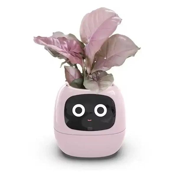 Buy It No MOQ Robot Guidance on Plant Care Adorable Plant Companion with Rich Gesture Interaction and Emojisb Smart Pet Planter - Japanese Laurel