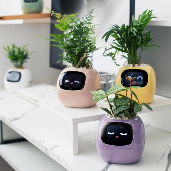 Buy It No MOQ Robot Guidance on Plant Care Adorable Plant Companion with Rich Gesture Interaction and Emojisb Smart Pet Planter - Japanese Laurel