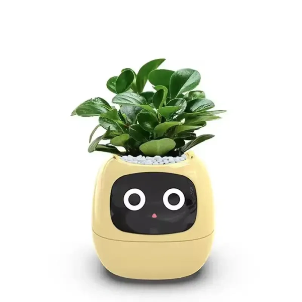 Buy It No MOQ Robot Guidance on Plant Care Adorable Plant Companion with Rich Gesture Interaction and Emojisb Smart Pet Planter - Japanese Laurel