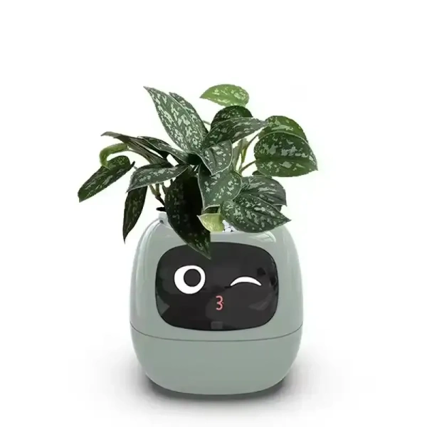 Buy It No MOQ Robot Guidance on Plant Care Adorable Plant Companion with Rich Gesture Interaction and Emojisb Smart Pet Planter - Japanese Laurel