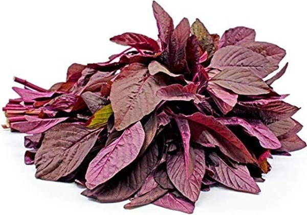 Red Amaranths (Lal Saag)