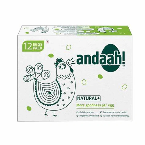 Andaah Natural+ Eggs - 12 Pieces