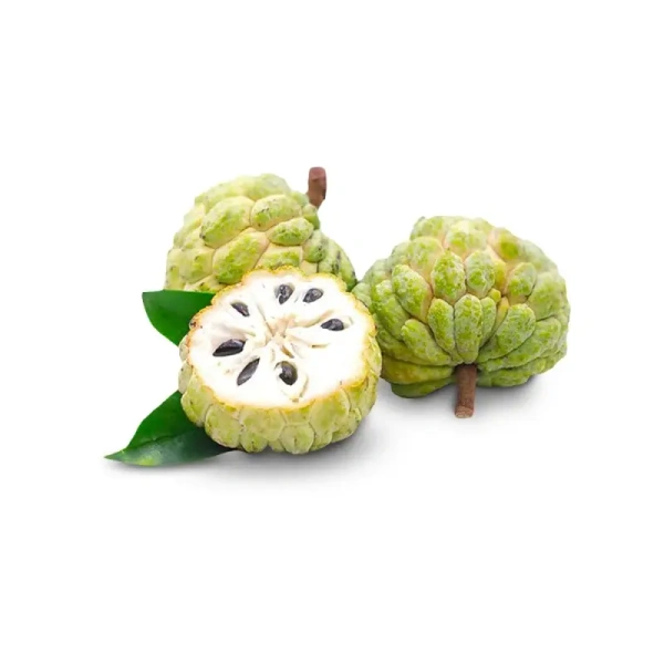 Apple Custard - 500 - 550 gm