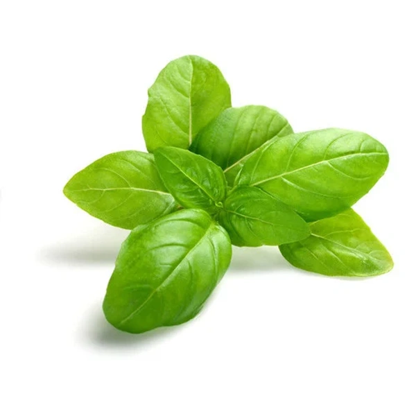 Basil Leaves (Tulsi Patta) - 50 gm