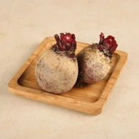 Beetroot (Chukandar) - 1 - 1.1 kg