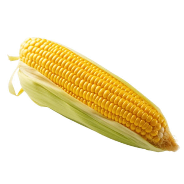 Bhutta - 1 Piece