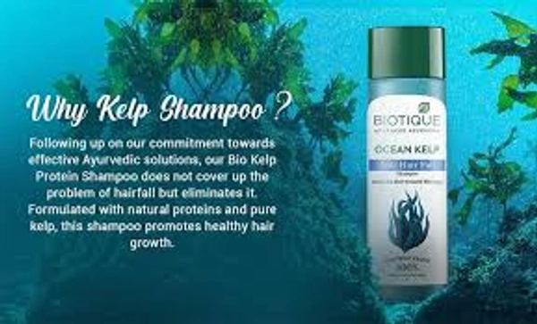 Biotique Ocean Kelp Anti Hair Fall Shampoo-340 ml - 340 ml