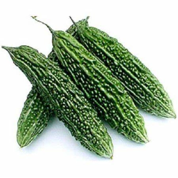 Bitter Gourd Hybrid (Karela) - 1 kg